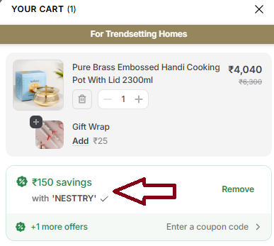 Coupon verification screenshot on Nestasia