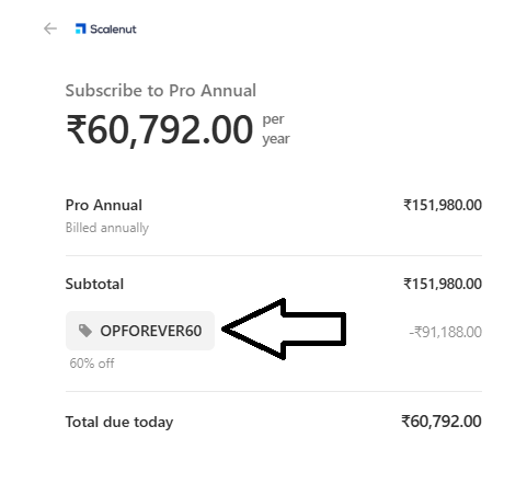Coupon verification screenshot on Scalenut