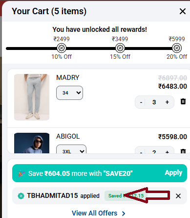 Coupon verification screenshot on The Bear House