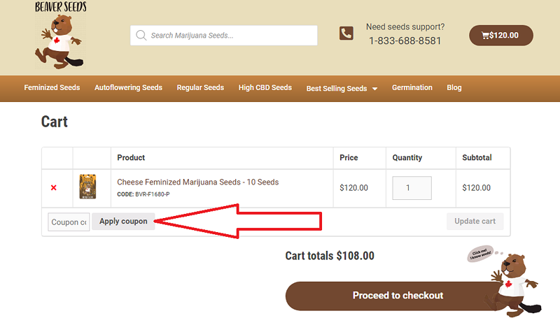 Coupon code field on the Beaver Seeds checkout page