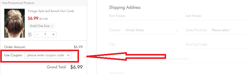 how to use bellelily coupon code