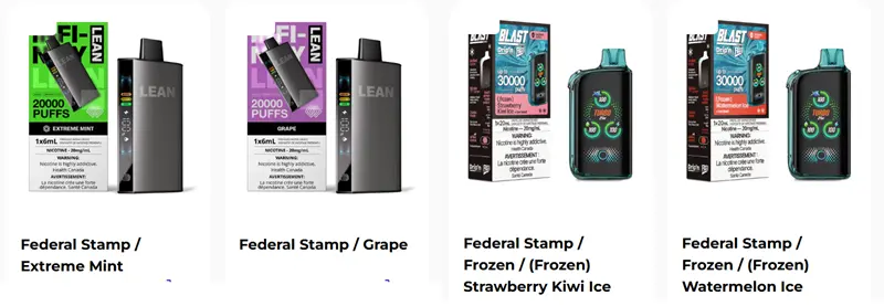 High Puffs & Long-Lasting Vapes